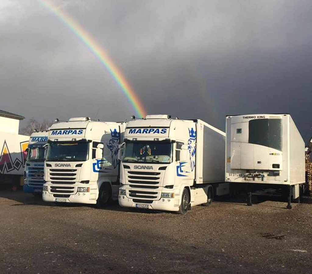 Marpas Transport parc auto camion 8